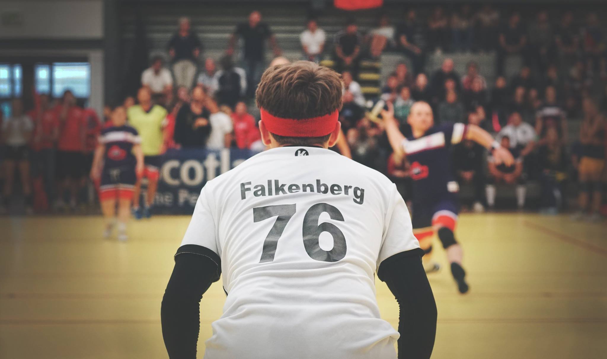 29388343_1903954493250312_1207464836192010240_n